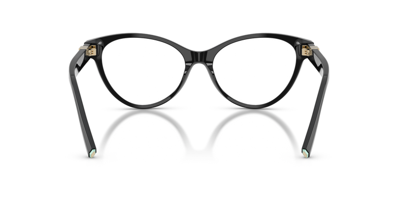 Tiffany TF2302BF in Black - Temple Detail