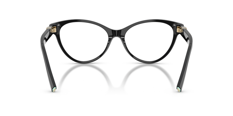 Tiffany TF2302B in Black - Temple Detail