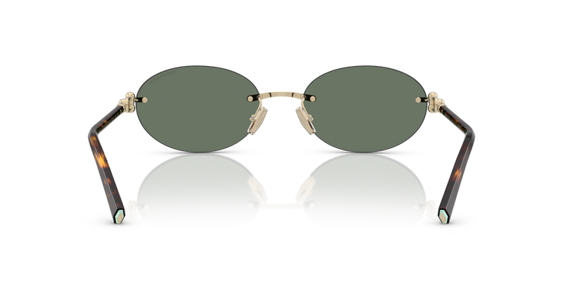 Tiffany TF3104D in Pale Gold / Dark Green (623882) - Temple Detail