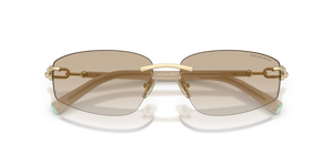 Pale Gold / Neutral Gradient Light Grey (602111)