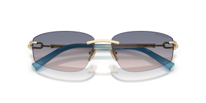Pale Gold / Light Brown Gradient Blue (619116)