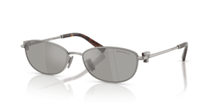 Gunmetal / Light Grey Mirror Silver (60036G)