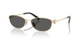 Pale Gold / Dark Grey (6021S4)