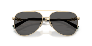 Pale Gold / Dark Grey (6021S4)