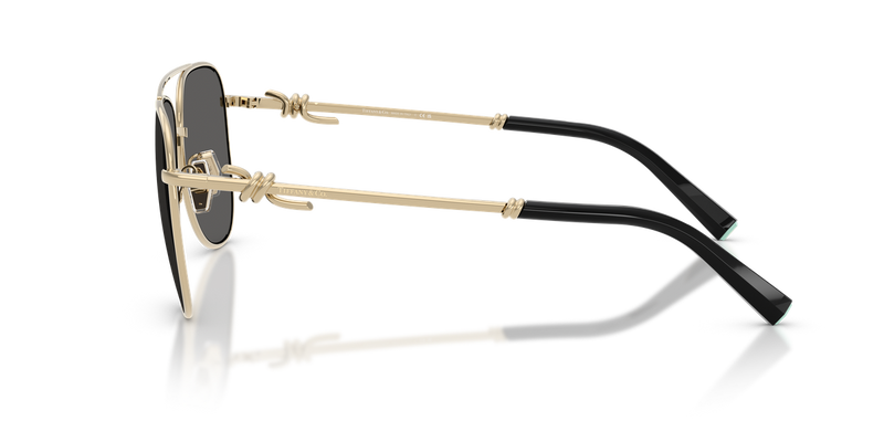 Tiffany TF3116 in Pale Gold / Dark Grey (6021S4) - Back View
