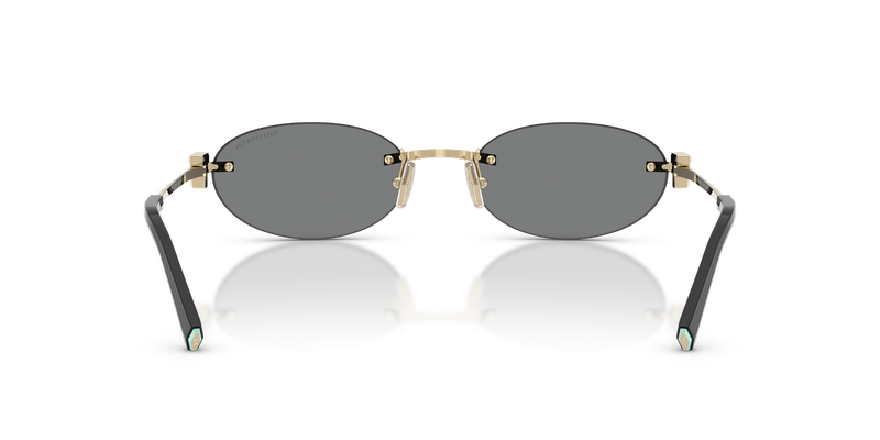 Tiffany TF3119D in Pale Gold / Dark Grey (602187) - Alternate View