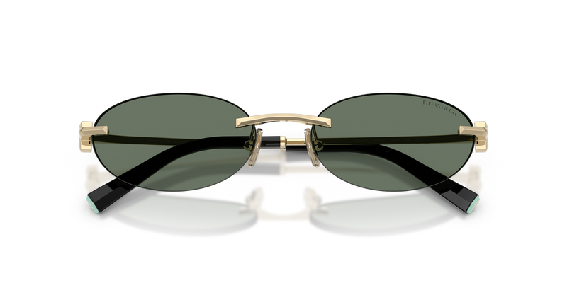 Tiffany TF3119D in Pale Gold / Dark Green (623882) - Alternate View