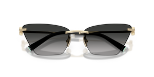 Pale Gold / Grey Gradient (62413C)