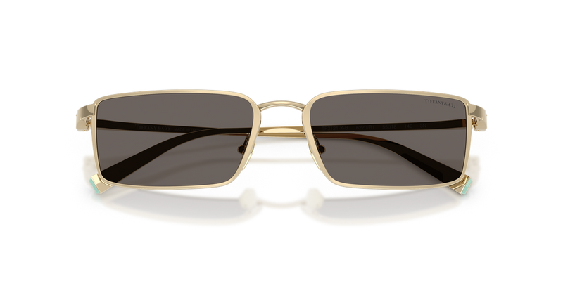 Tiffany TF3121KB in Pale Gold Plated / Dark Grey (6220B1) - Side View