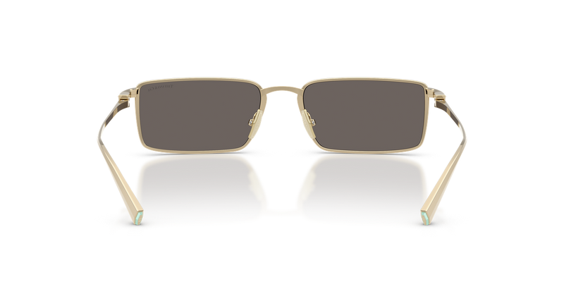Tiffany TF3121KB in Pale Gold Plated / Dark Grey (6220B1) - Temple Detail