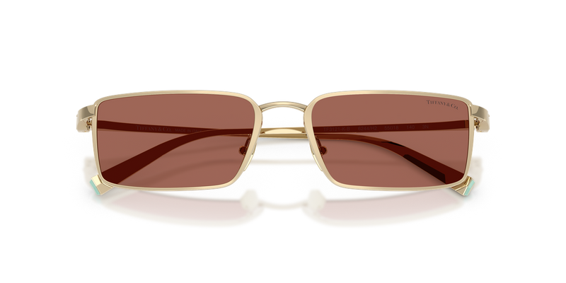 Tiffany TF3121KB in Pale Gold Plated / Brown (6244H2) - Alternate View