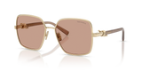 Pale Gold / Brown (602173)