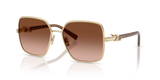 Pale Gold / Brown Gradient (61773B)