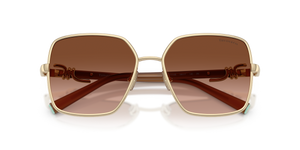 Pale Gold / Brown Gradient (61773B)