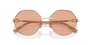 Rose Gold / Light Brown Mirror Silver Int (6105A2)