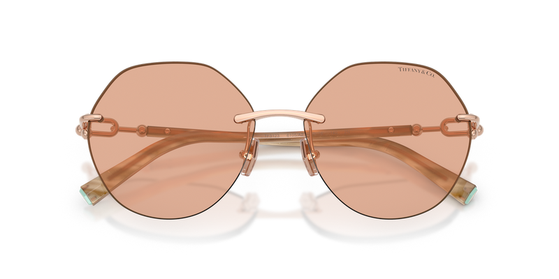 Tiffany TF3123 in Rose Gold - Alternate View