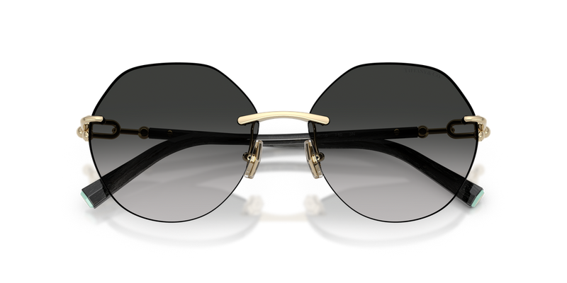 Tiffany TF3123 in Pale Gold - Alternate View