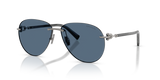 Gunmetal / Dark Blue (600380)