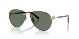 Pale Gold / Dark Green (60213H)