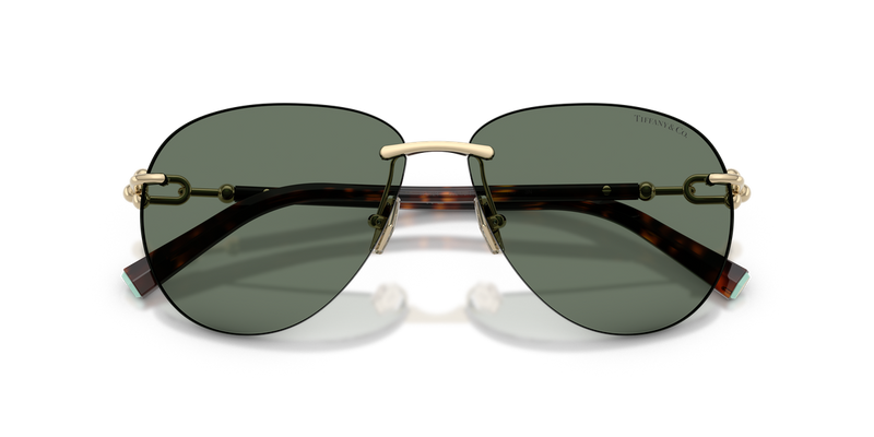 Tiffany TF3124 in Pale Gold - Alternate View