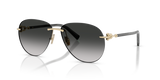 Pale Gold / Grey Gradient (62413C)