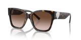 Havana / Brown Gradient (80153B)