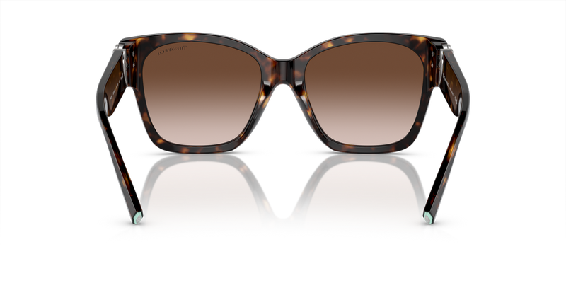 Tiffany TF4216 in Havana / Brown Gradient (80153B) - Alternate View