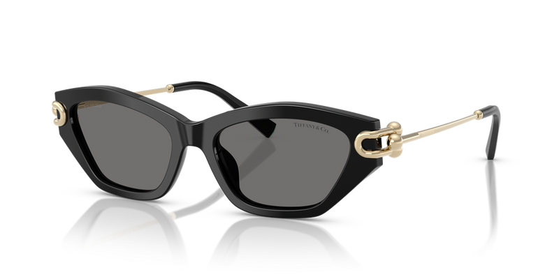 Tiffany TF4231U in Black - Alternate View