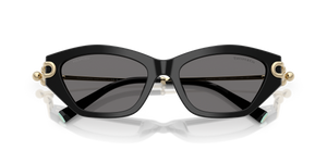 Black / Dark Grey Polarized (800181)