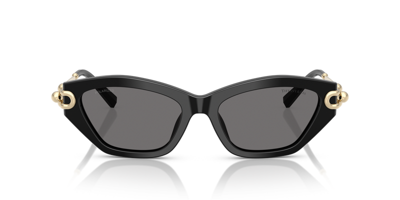 Tiffany TF4231U in Black - Alternate View