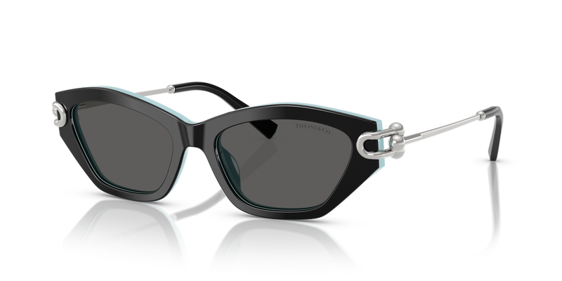Tiffany TF4231U in Black On Tiffany Blue - Alternate View
