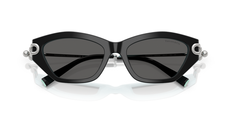 Tiffany TF4231U in Black On Tiffany Blue - Alternate View