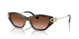 Havana On Tiffany Blue / Brown Gradient (81343B)