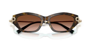 Havana On Tiffany Blue / Brown Gradient (81343B)