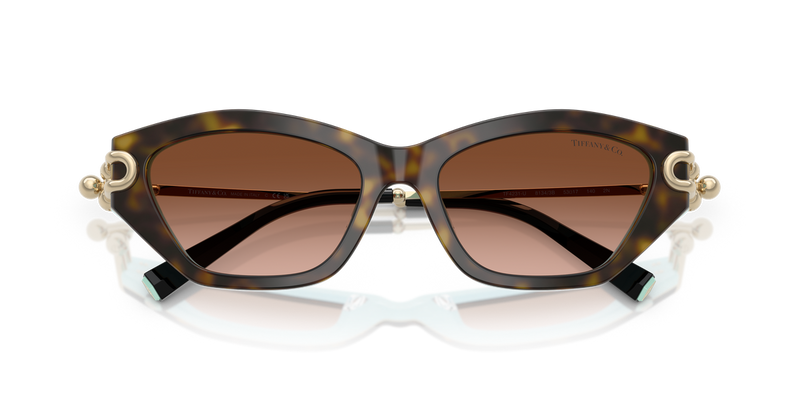 Tiffany TF4231U in Havana On Tiffany Blue - Side View