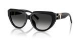 Black / Grey Gradient (80013C)