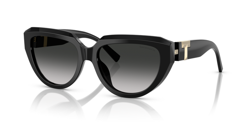 Tiffany TF4238U in Black - Alternate View