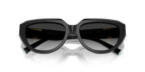 Black / Grey Gradient (80013C)