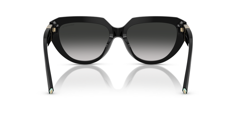 Tiffany TF4238U in Black - Alternate View