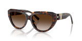 Havana / Brown Gradient (80153B)