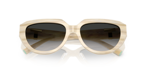 Striped Ivory / Grey Gradient (84313C)