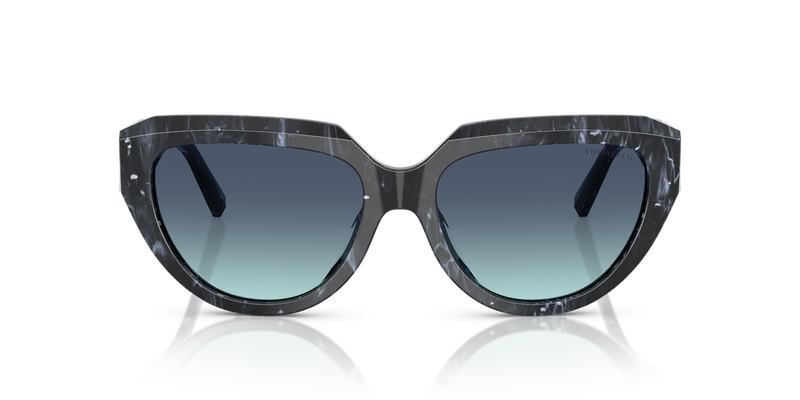 Tiffany TF4238U in Striped Black - Alternate View