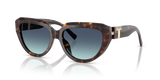 Havana / Azure Gradient Blue (84649S)