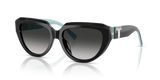 Black / Grey Gradient (84653C)
