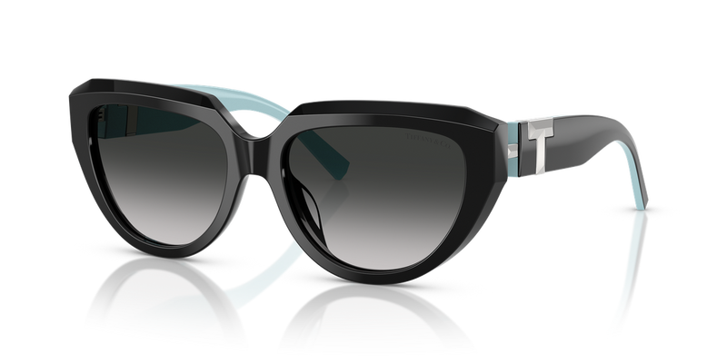Tiffany TF4238U in Black - Alternate View