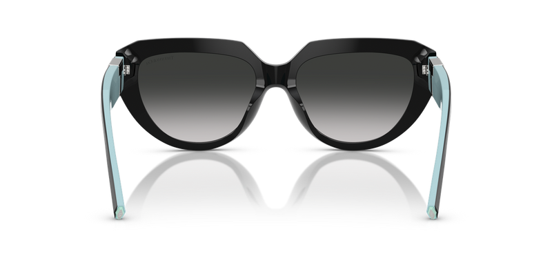 Tiffany TF4238U in Black - Alternate View