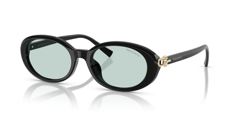 Tiffany TF4242D in Black / Light Azure (8001D9) - Alternate View