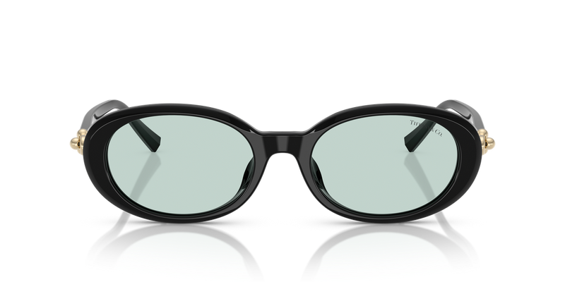Tiffany TF4242D in Black / Light Azure (8001D9) - Alternate View