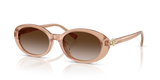 Opal Nude / Brown Gradient (82683B)