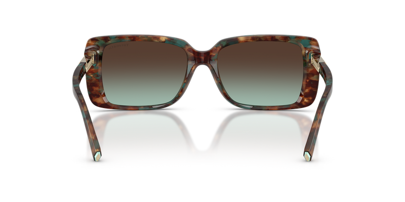 Tiffany TF4249F in Brown Tiffany Havana / Azure Gradient Brown (84425D) - Alternate View